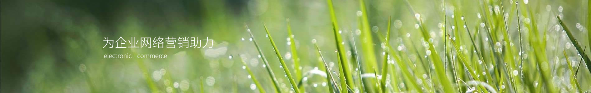 ݲƼ޹˾